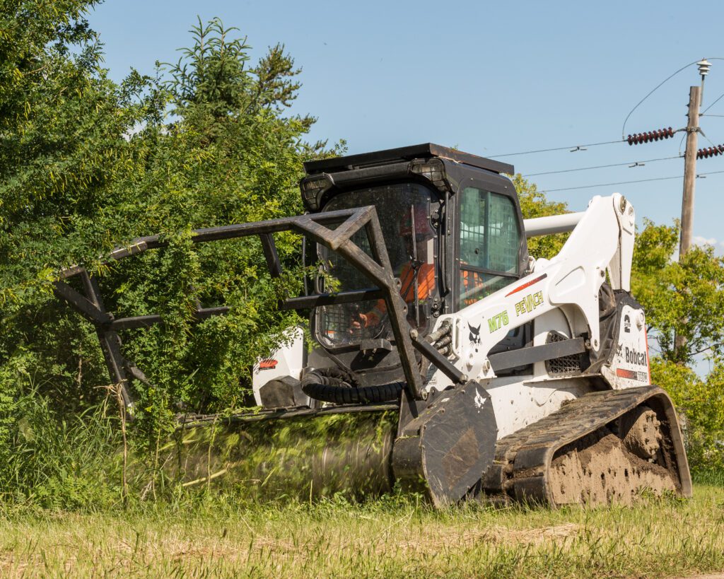 A bobcat overgrown mulching trees