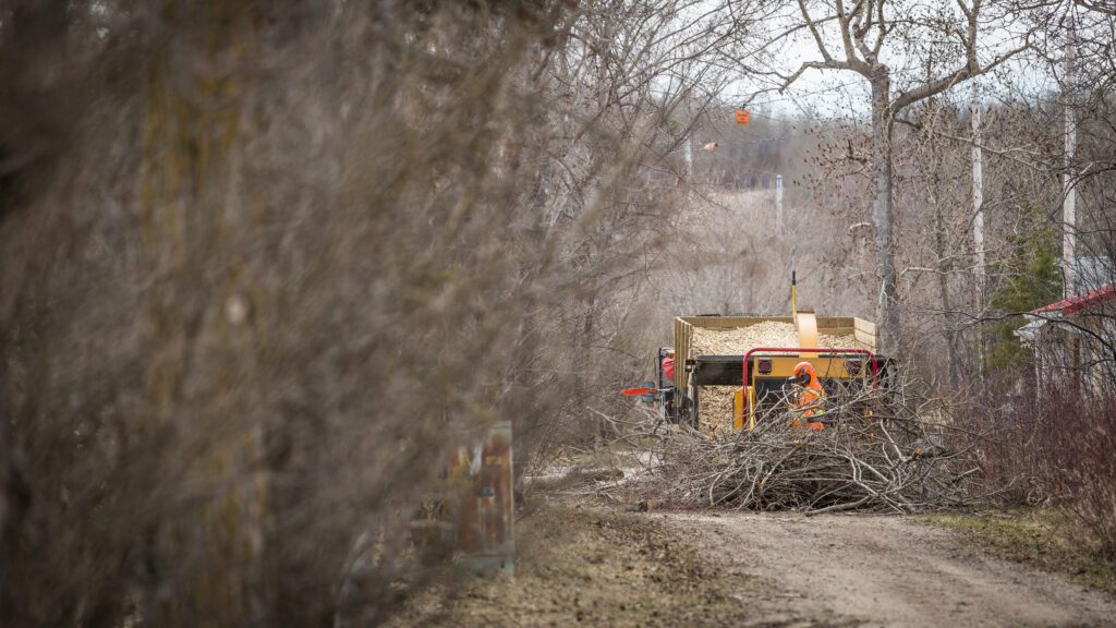 Pevach Corp working on turning trimmed tree branches into mulch using heavy duty equipment.