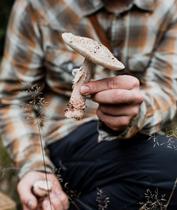 Revel & Feast: Forage and Fire "Eat me" demo w/ Chef Aidan Cain 