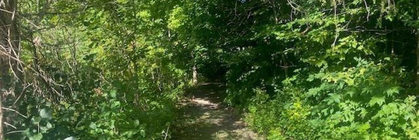 000 COUNTY RD 11, JONES FALLS ROAD