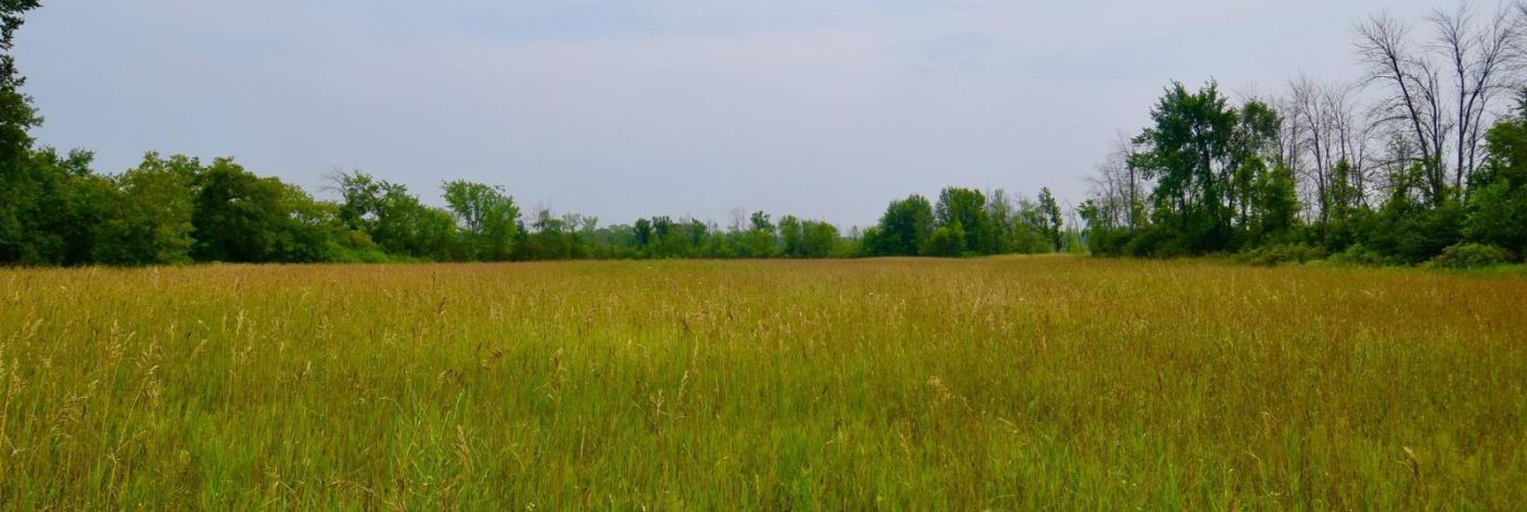 ~1654 BETHEL ROAD