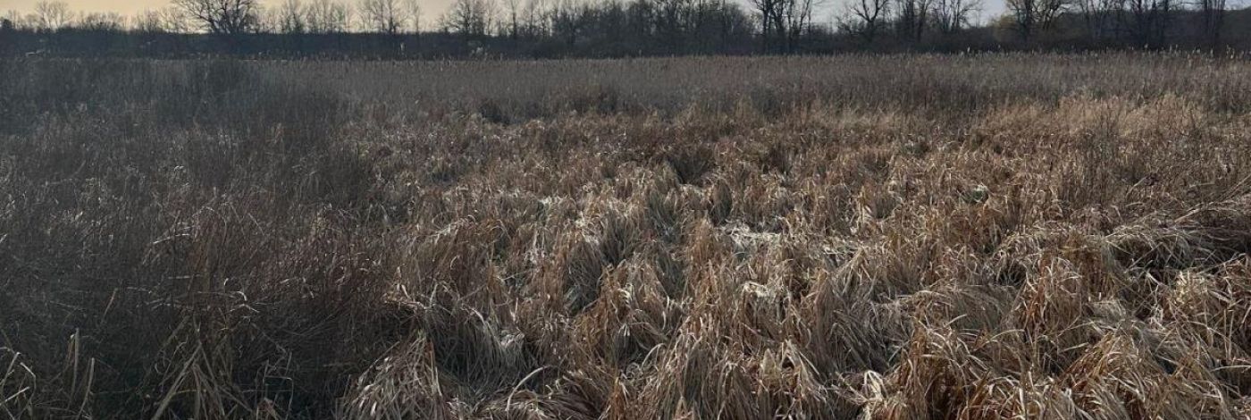 68 3RD CONCESSION ROAD