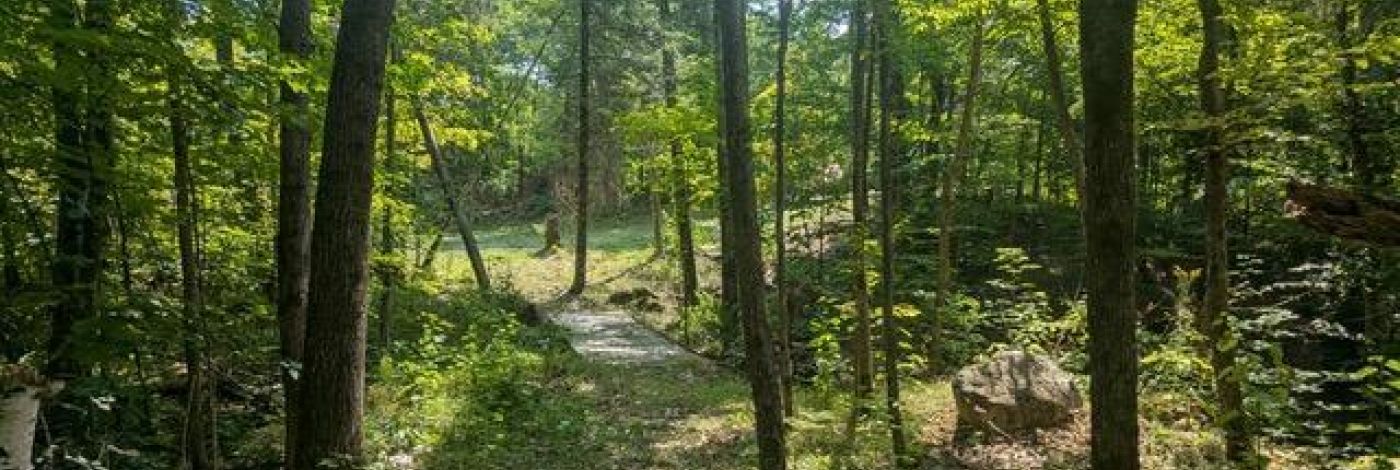 1251 BUCKSHOT LAKE ROAD