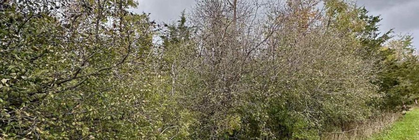 LOT 15 MARTIN DRIVE