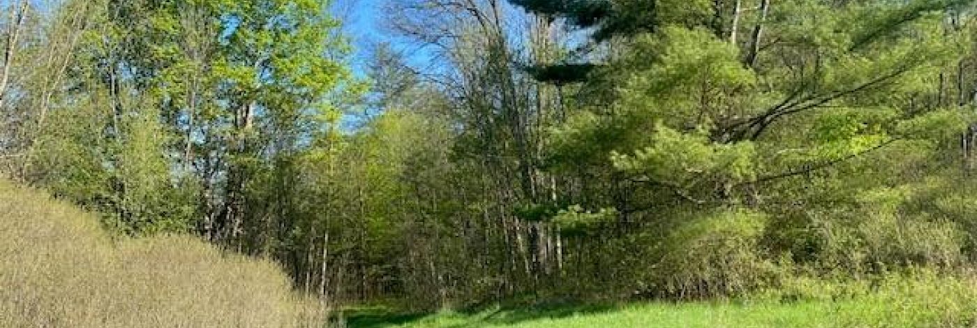 3519 COUNTY RD 3 ROAD