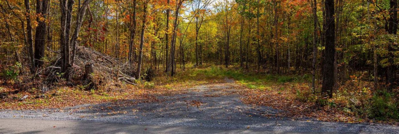 PT LTS 12 & 13 DEVIL LAKE ROAD