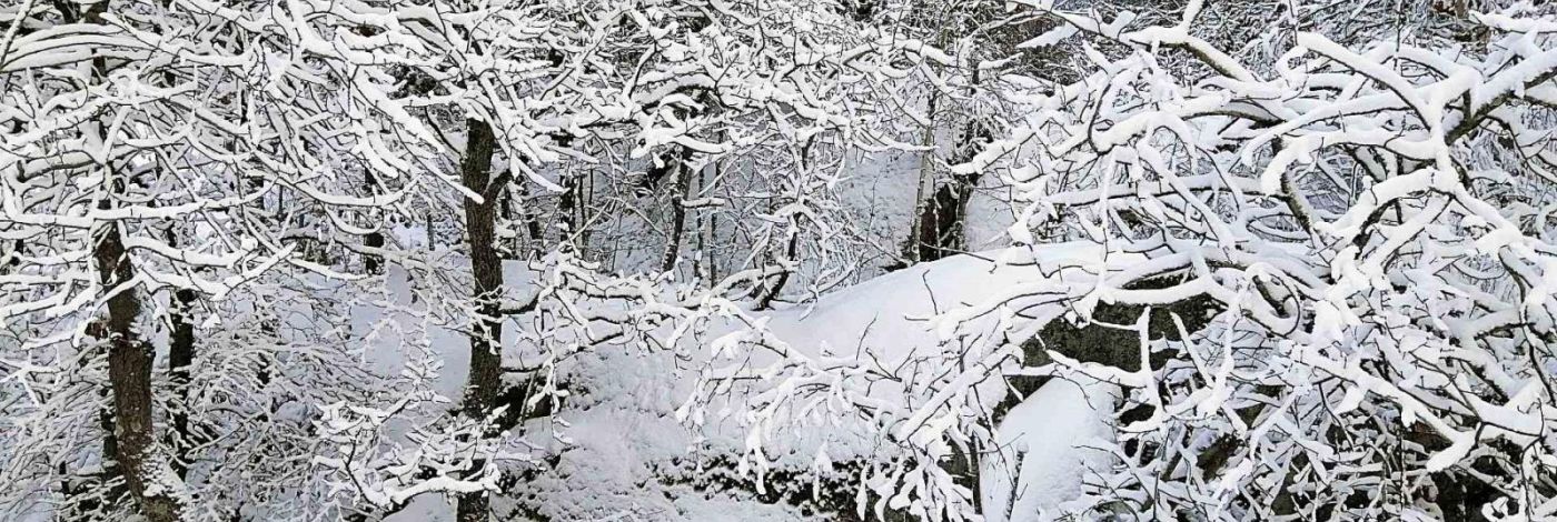 384 BIG CROSBY LAKE ROAD