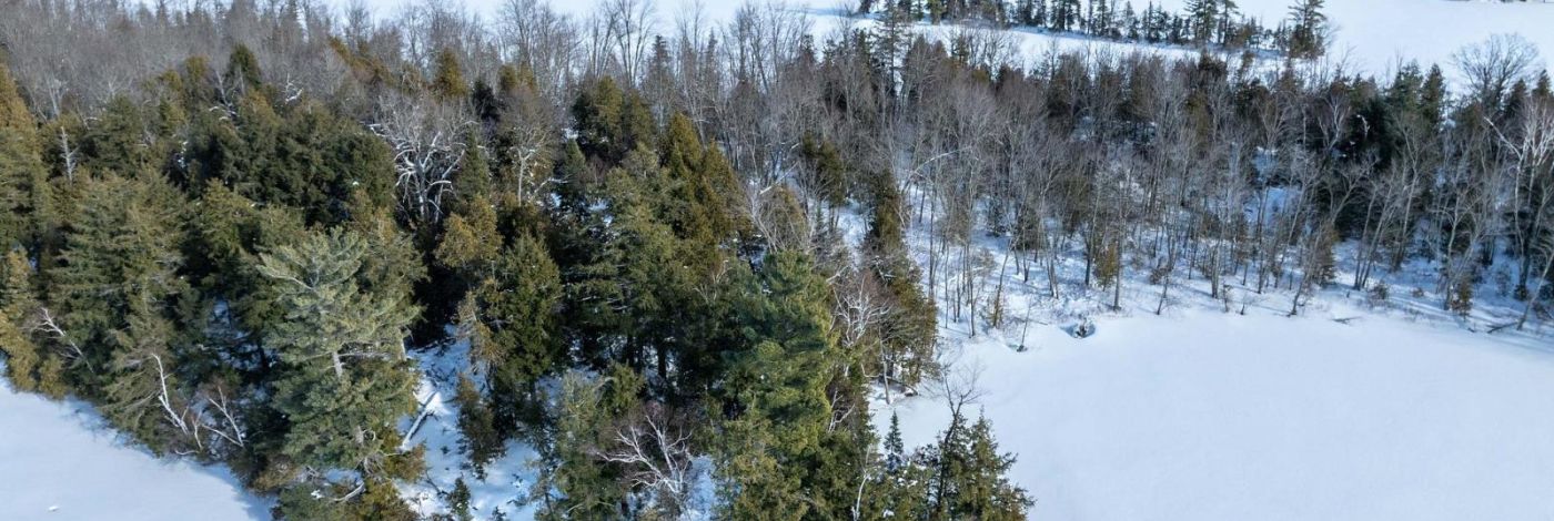 PT ISLAND B GRACEY'S ISLAND