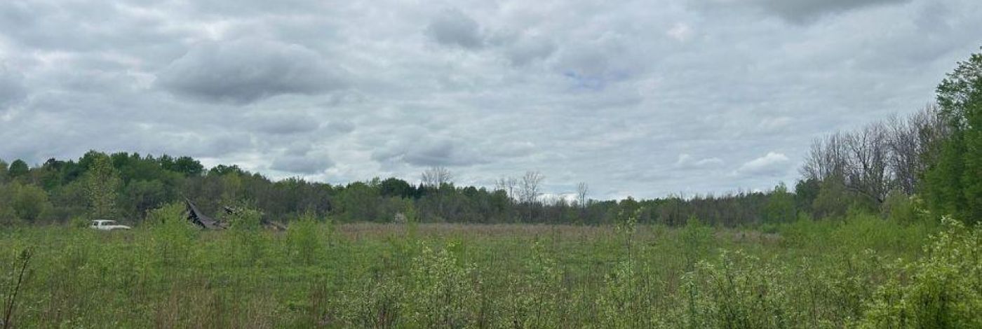 4374 LORDS MILLS ROAD