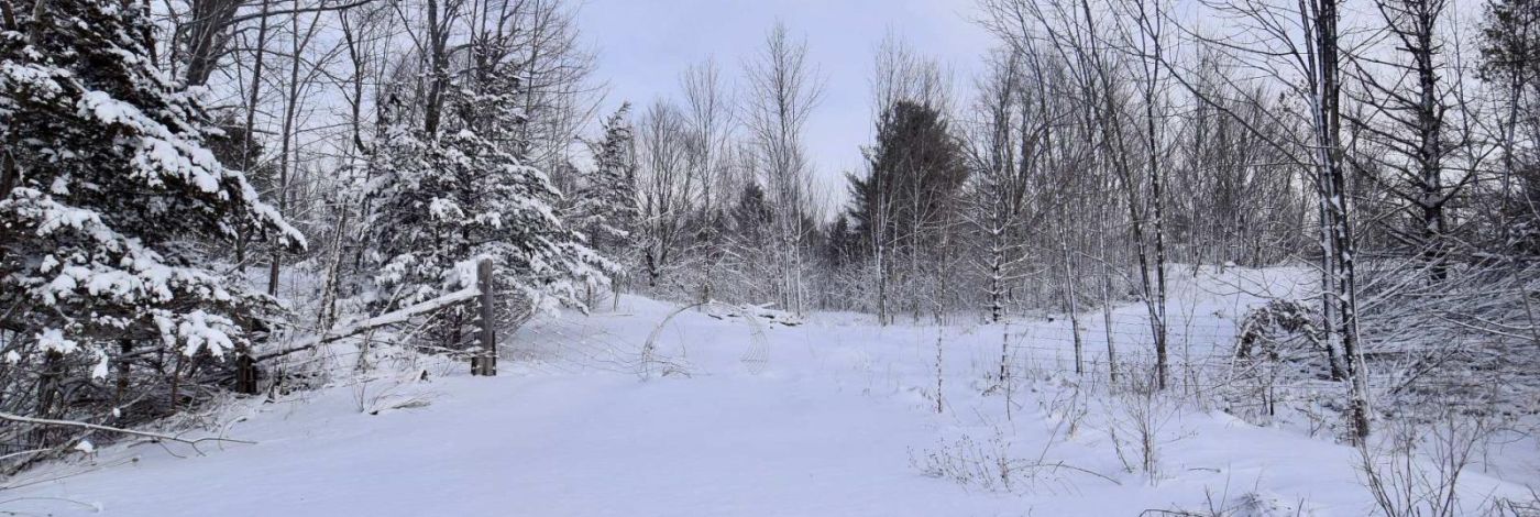 LOT 27 BRADSHAW ROAD