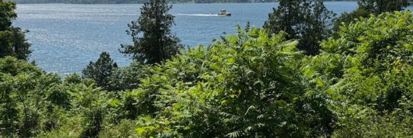 639 NORTH SHORE ROAD