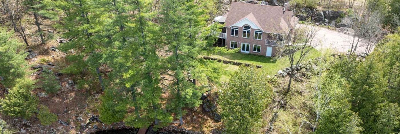 1133 SASSY TREE LANE