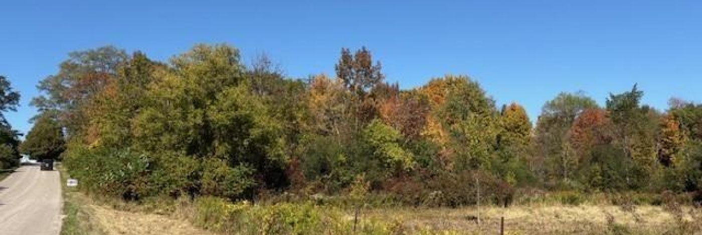 254 BRIAR HILL ROAD