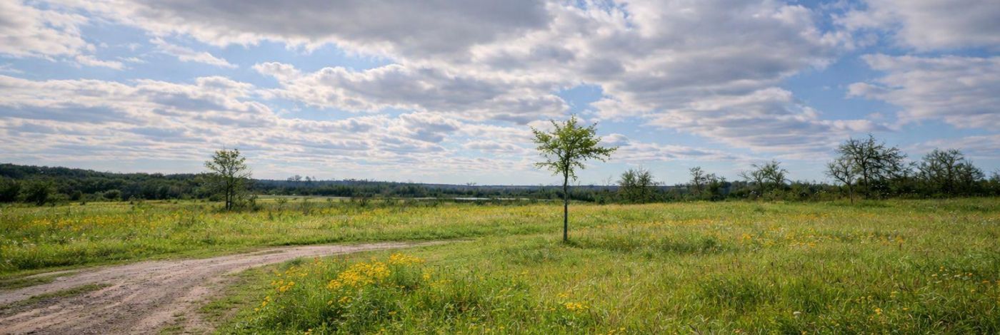 PT LT 37 MCGARVEY ROAD