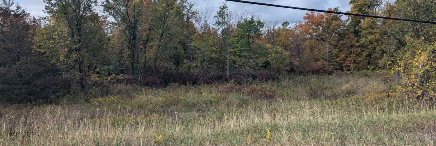 LOT 34 LEO LAKE ROAD