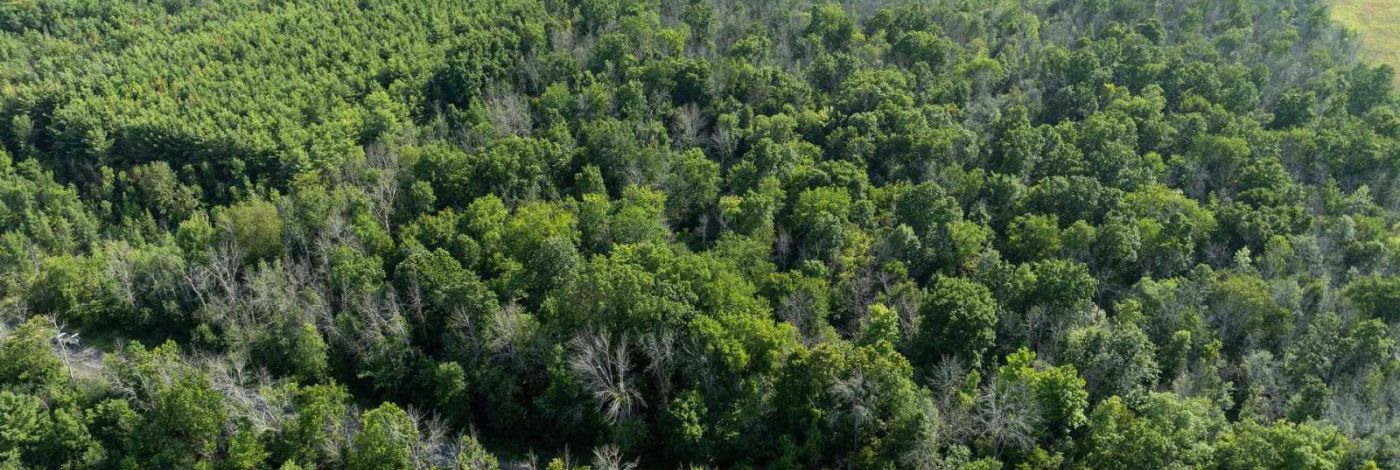 PT LT 6 SUNNYSIDE ROAD