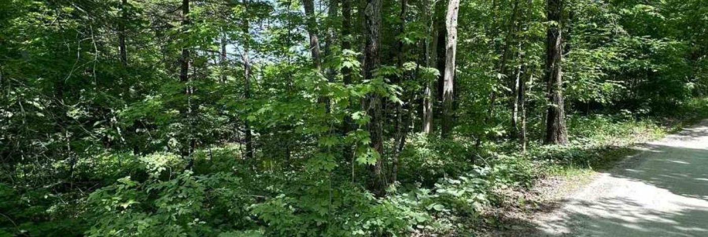 0 MAPLE GROVE LANE E