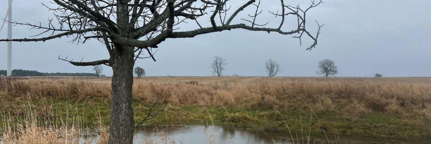 LOT 17 SOUTH SHORE ROAD