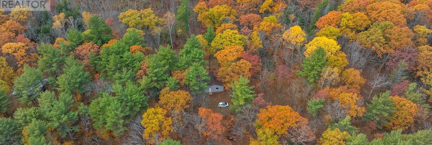 1131 MOON ROAD
