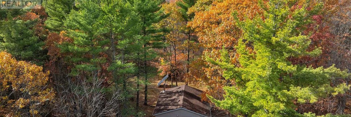 1131A MOON ROAD