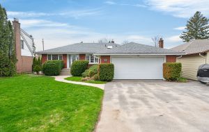 31 Jorene Drive 