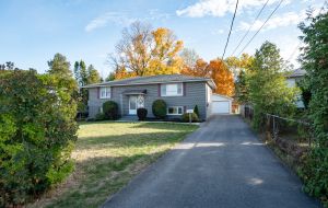855 Woodbine Road