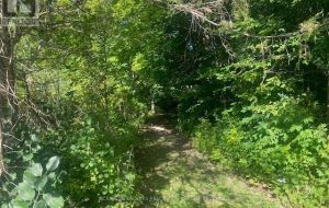 000 COUNTY RD 11, JONES FALLS ROAD