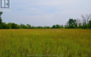 ~1654 BETHEL ROAD