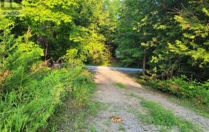 LOT 1&2 ROAD 509