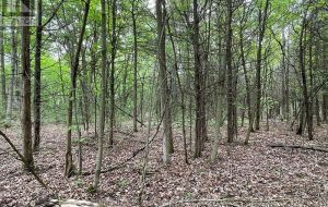 1335 JOHN F. SCOTT ROAD