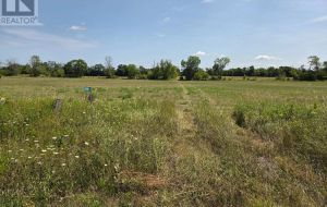 5554 ROAD 38