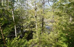 20B BALLANTRA DRIVE