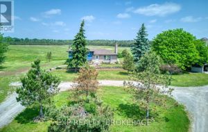 121 IVY RIDGE ROAD