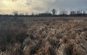 68 3RD CONCESSION ROAD