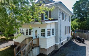 40 ELM STREET