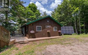 313 RACCOON LAKE TRAIL ROAD