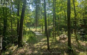 1251 BUCKSHOT LAKE ROAD