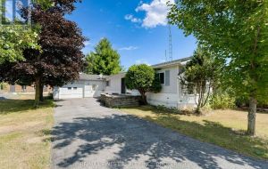 19 MAPLE DRIVE