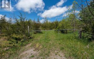 00 MCCUTCHEON ROAD