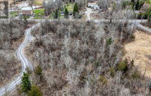 3048 CREEKFORD ROAD