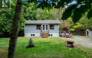 331 MAPLE GROVE LANE