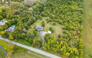 931 POWERLINE ROAD