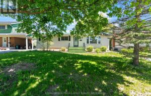 5 ARMOUR CRESCENT