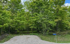 17146 ROAD 509