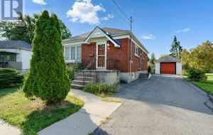 19 CAMERON STREET