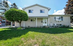 228 ROBERT WALLACE DRIVE