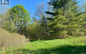 3519 COUNTY RD 3 ROAD