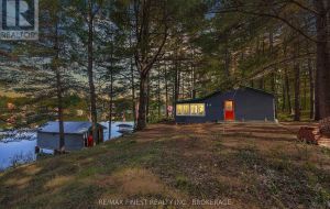 293 GOLD DUST LANE