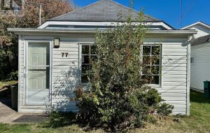 77 CARTWRIGHT STREET