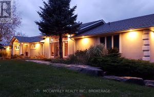 898 COUNTY ROAD 12